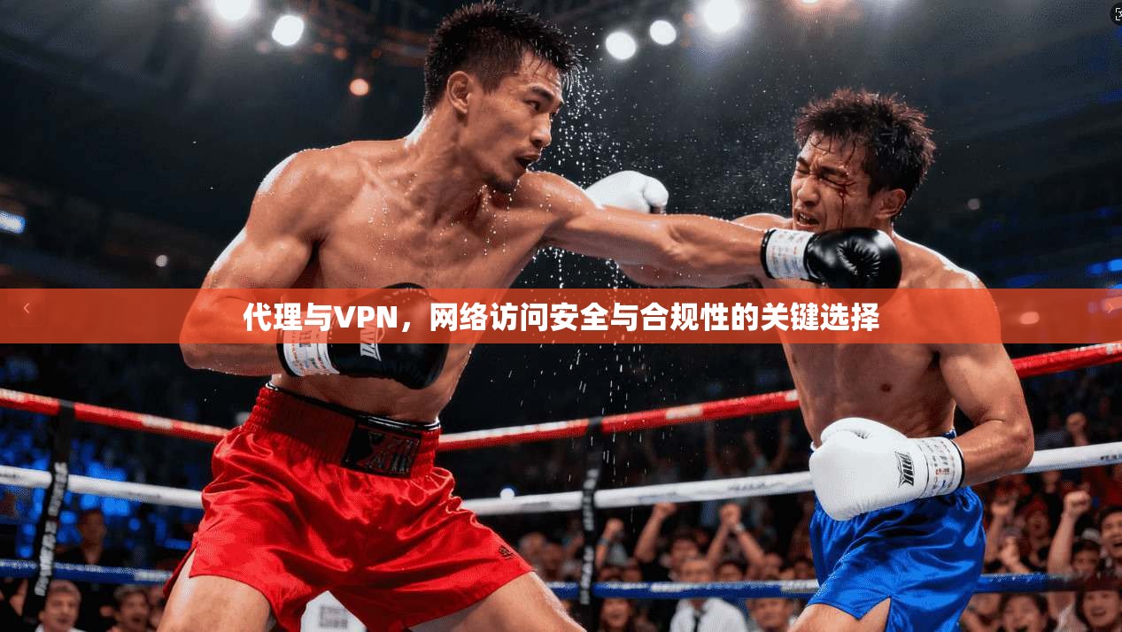 代理与VPN，网络访问安全与合规性的关键选择