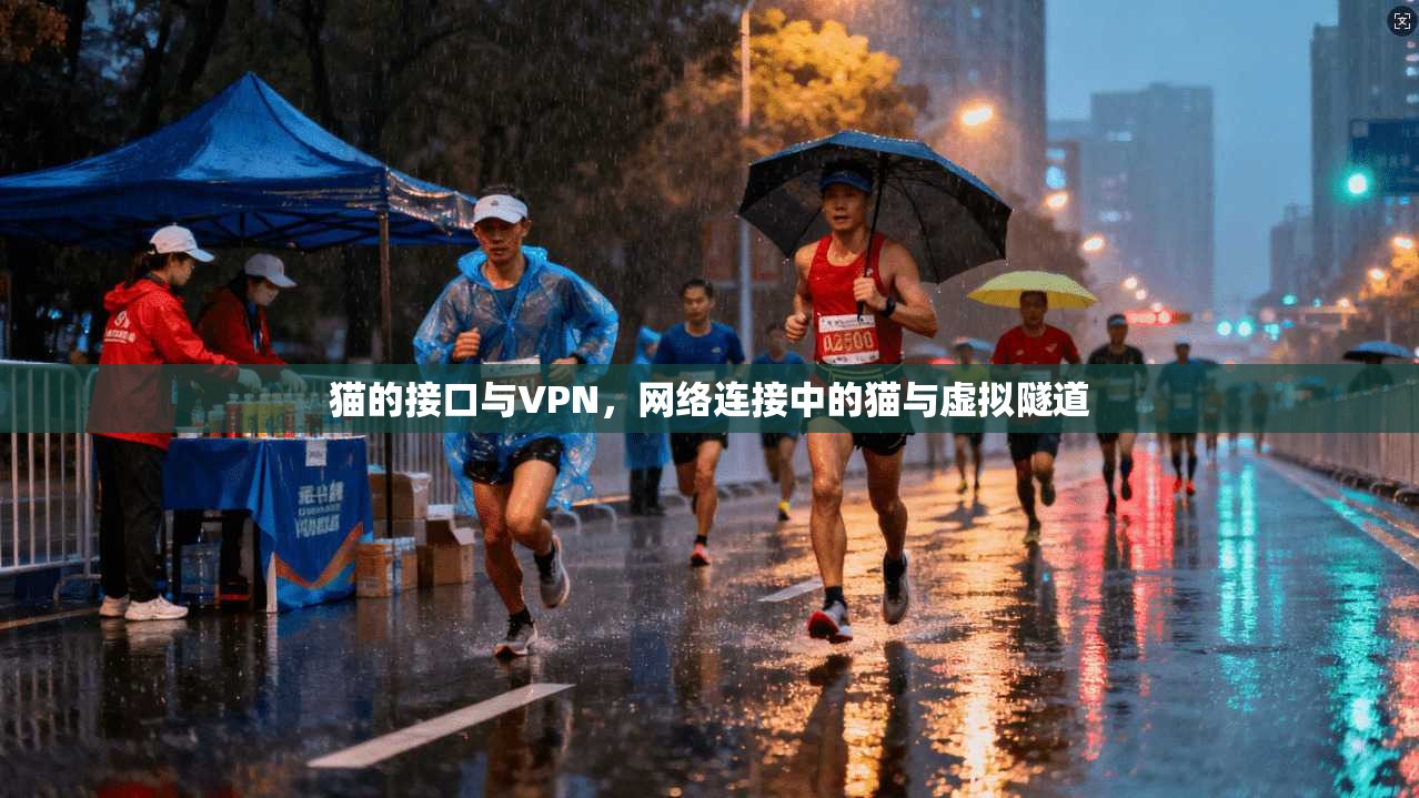 猫的接口与VPN，网络连接中的猫与虚拟隧道