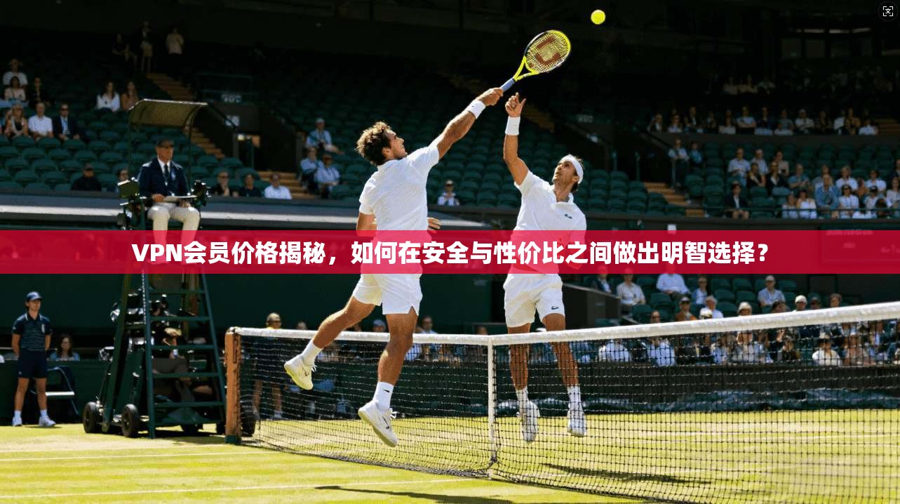 VPN会员价格揭秘，如何在安全与性价比之间做出明智选择？