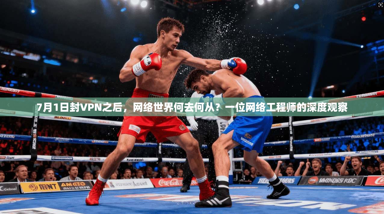 7月1日封VPN之后，网络世界何去何从？一位网络工程师的深度观察