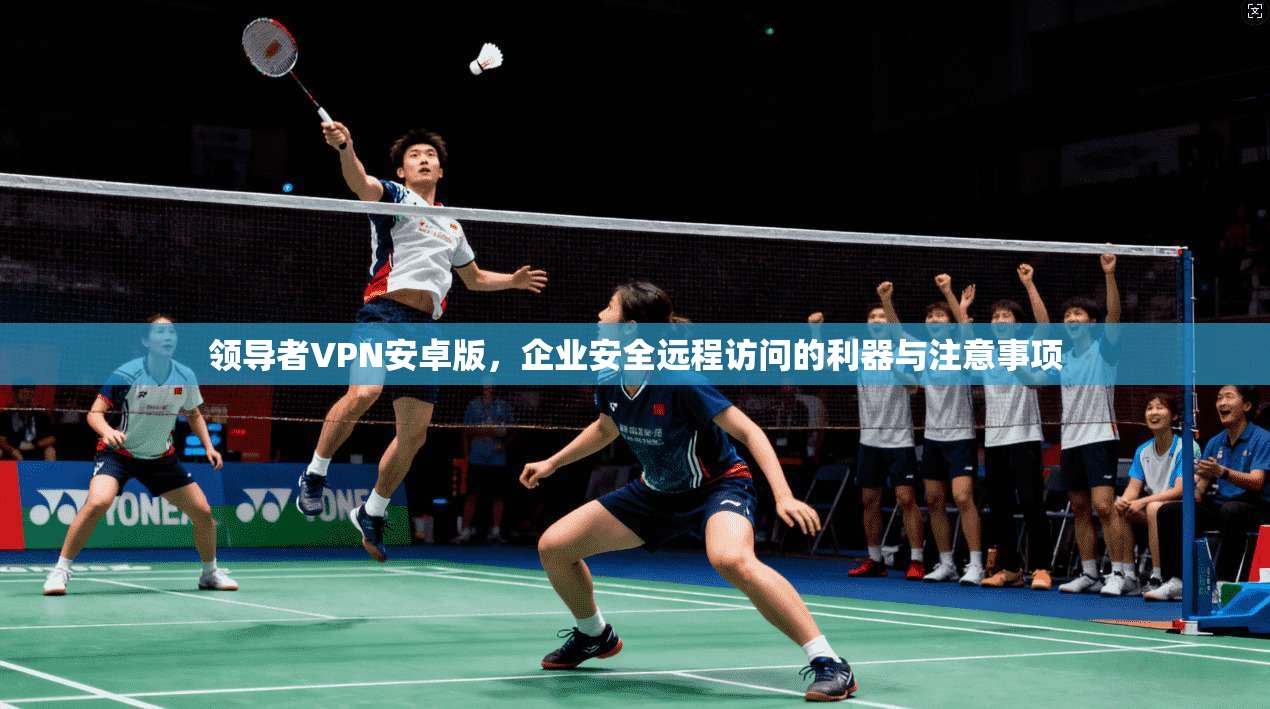 领导者VPN安卓版，企业安全远程访问的利器与注意事项