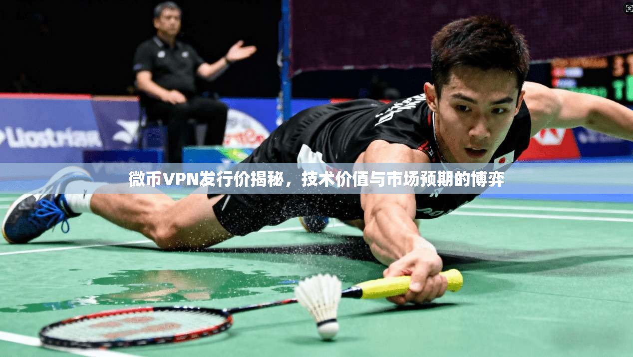 微币VPN发行价揭秘,技术价值与市场预期的博弈