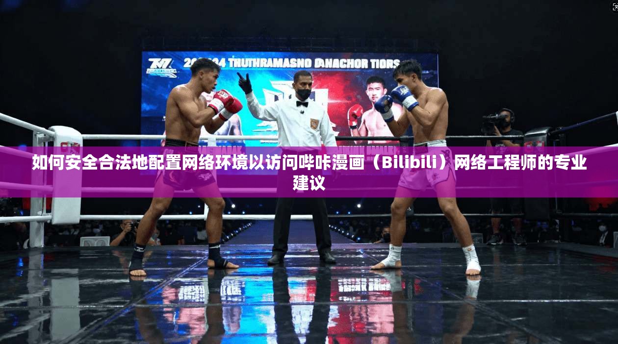 如何安全合法地配置网络环境以访问哔咔漫画（Bilibili）网络工程师的专业建议