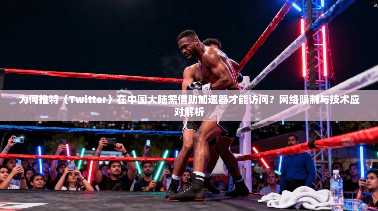 为何推特（Twitter）在中国大陆需借助加速器才能访问？网络限制与技术应对解析