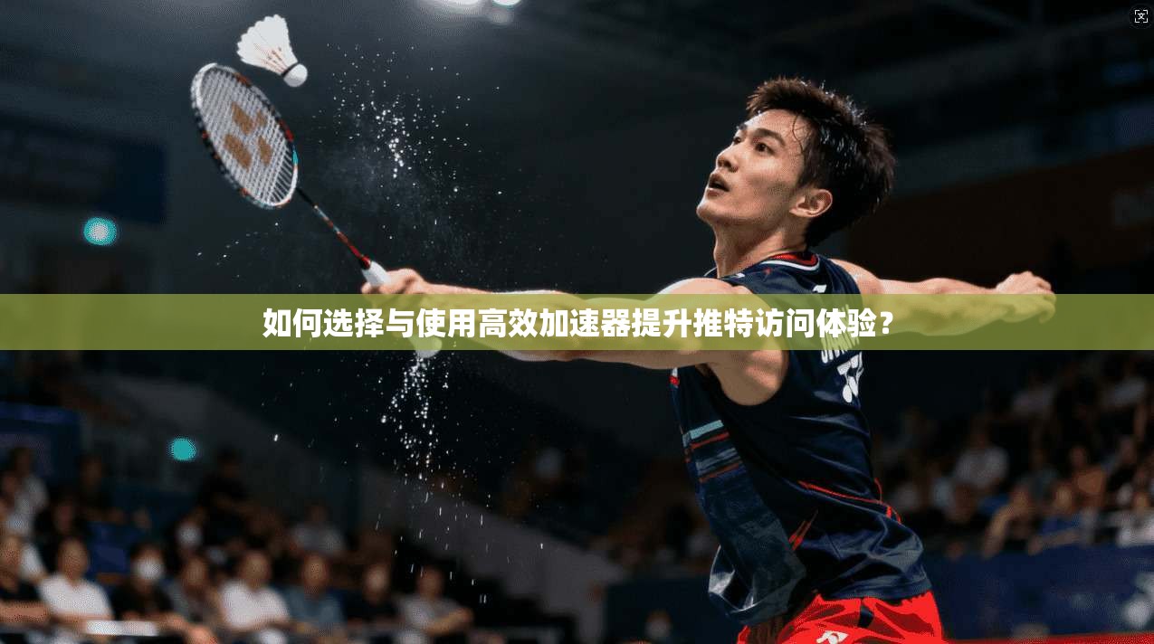 如何选择与使用高效加速器提升推特访问体验？