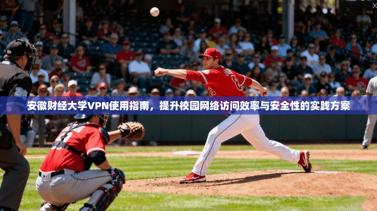 安徽财经大学VPN使用指南，提升校园网络访问效率与安全性的实践方案