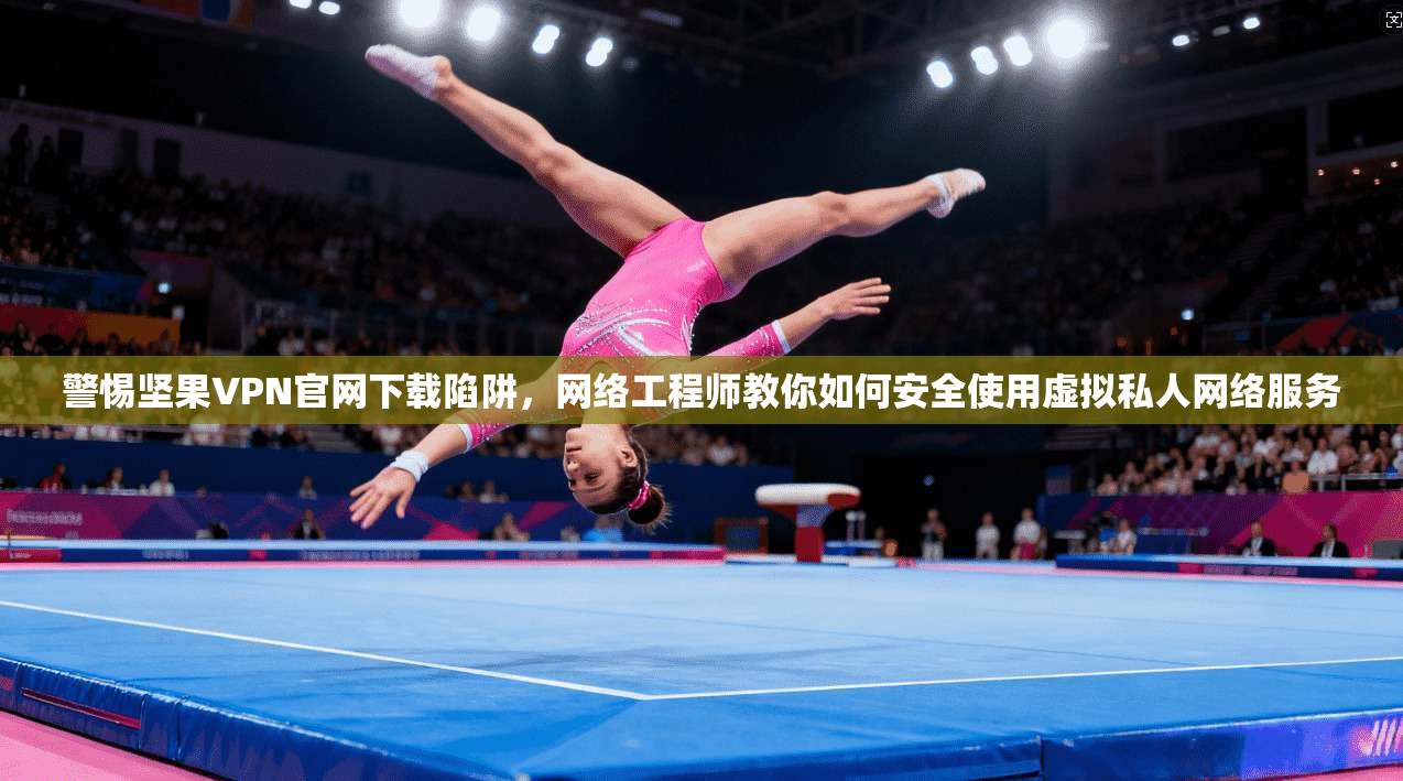 警惕坚果VPN官网下载陷阱，网络工程师教你如何安全使用虚拟私人网络服务