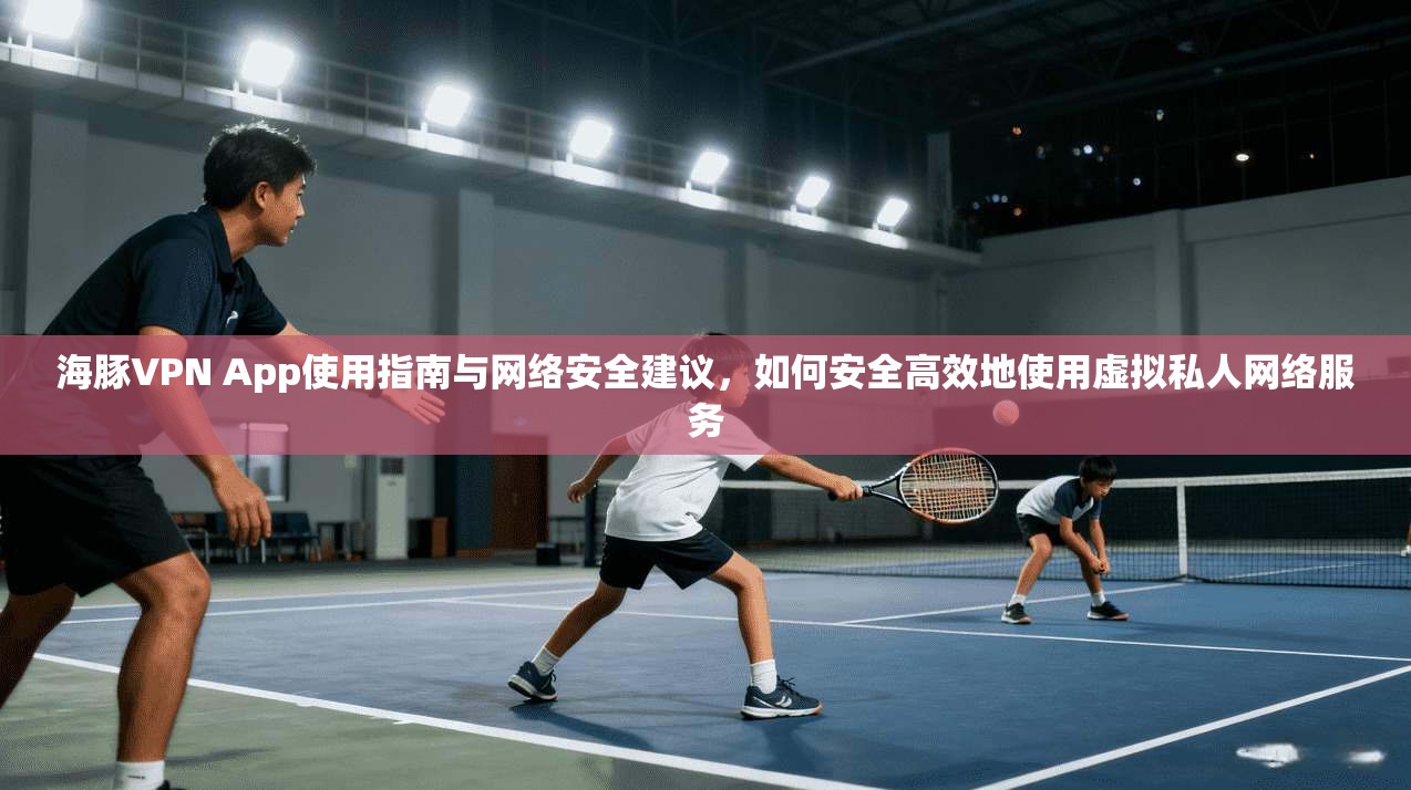 海豚VPN App使用指南与网络安全建议，如何安全高效地使用虚拟私人网络服务