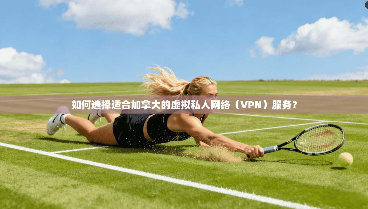 如何选择适合加拿大的虚拟私人网络（VPN）服务？