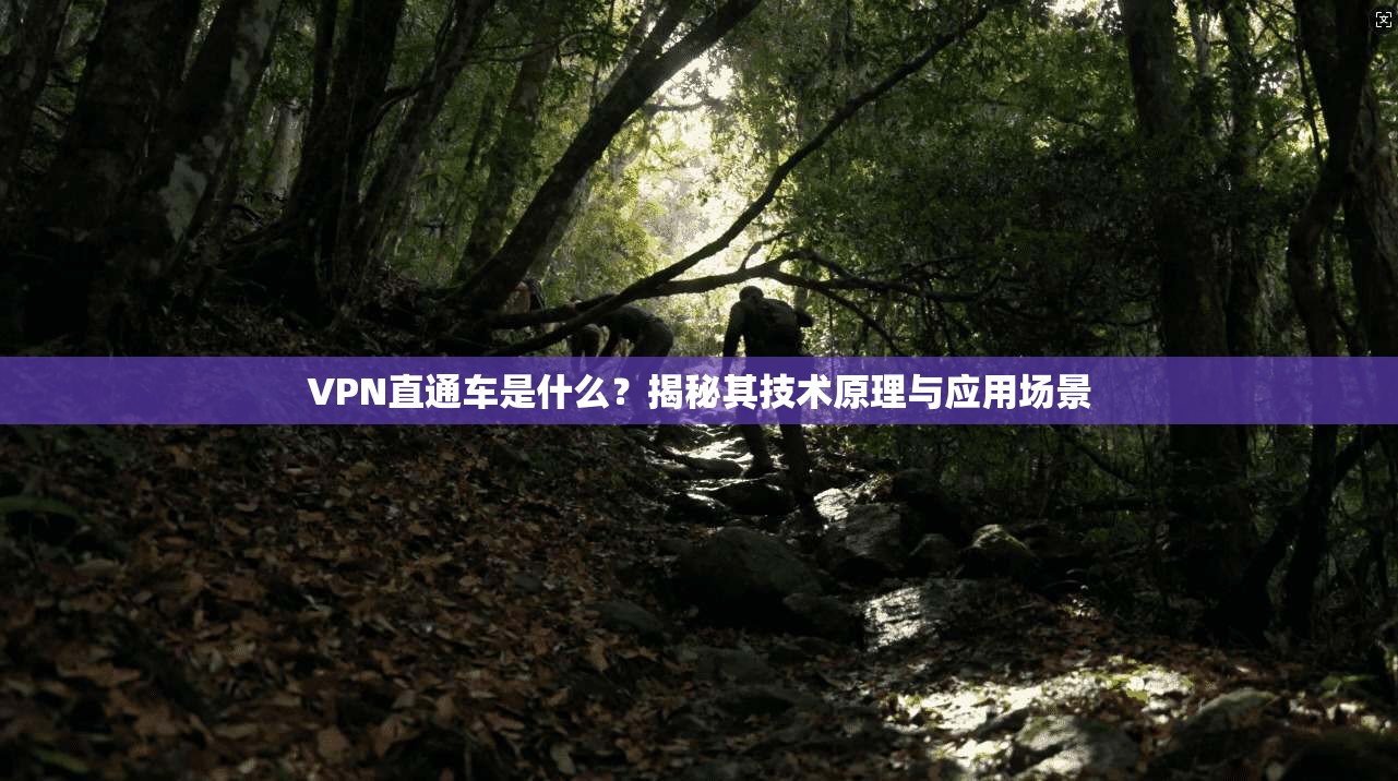 VPN直通车是什么？揭秘其技术原理与应用场景