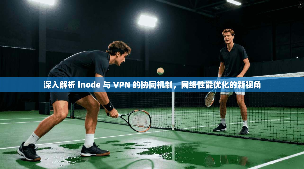 深入解析 inode 与 VPN 的协同机制,网络性能优化的新视角