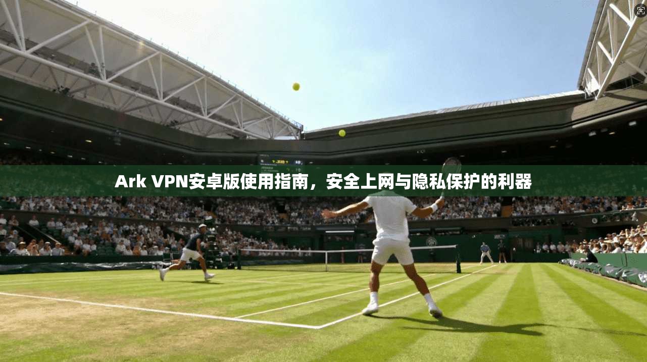 Ark VPN安卓版使用指南，安全上网与隐私保护的利器