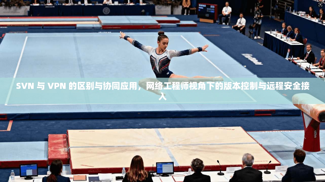 SVN 与 VPN 的区别与协同应用，网络工程师视角下的版本控制与远程安全接入