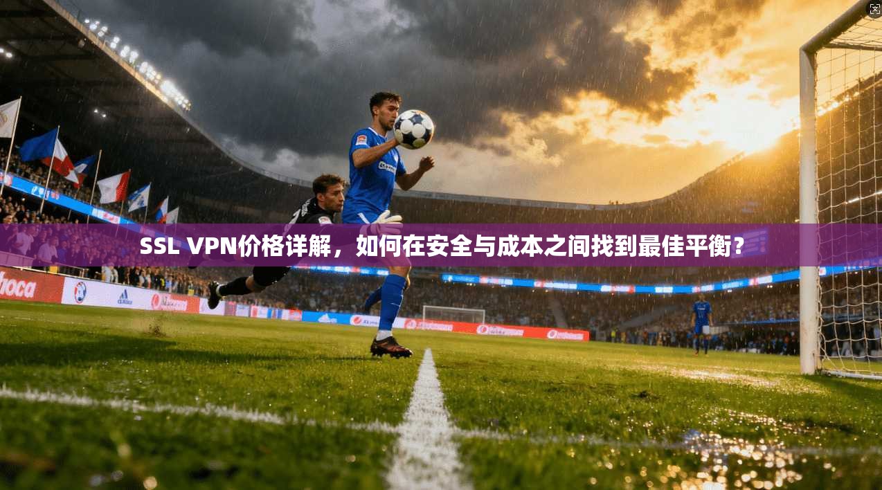 SSL VPN价格详解,如何在安全与成本之间找到最佳平衡?