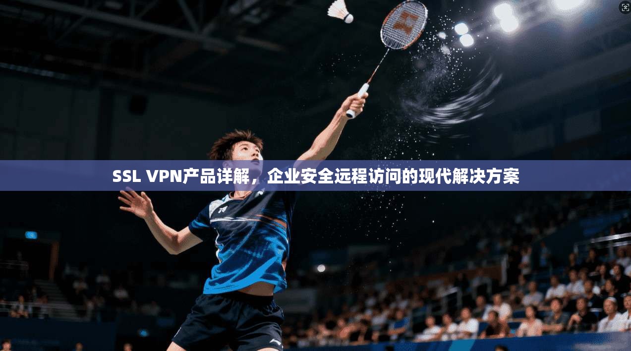 SSL VPN产品详解，企业安全远程访问的现代解决方案