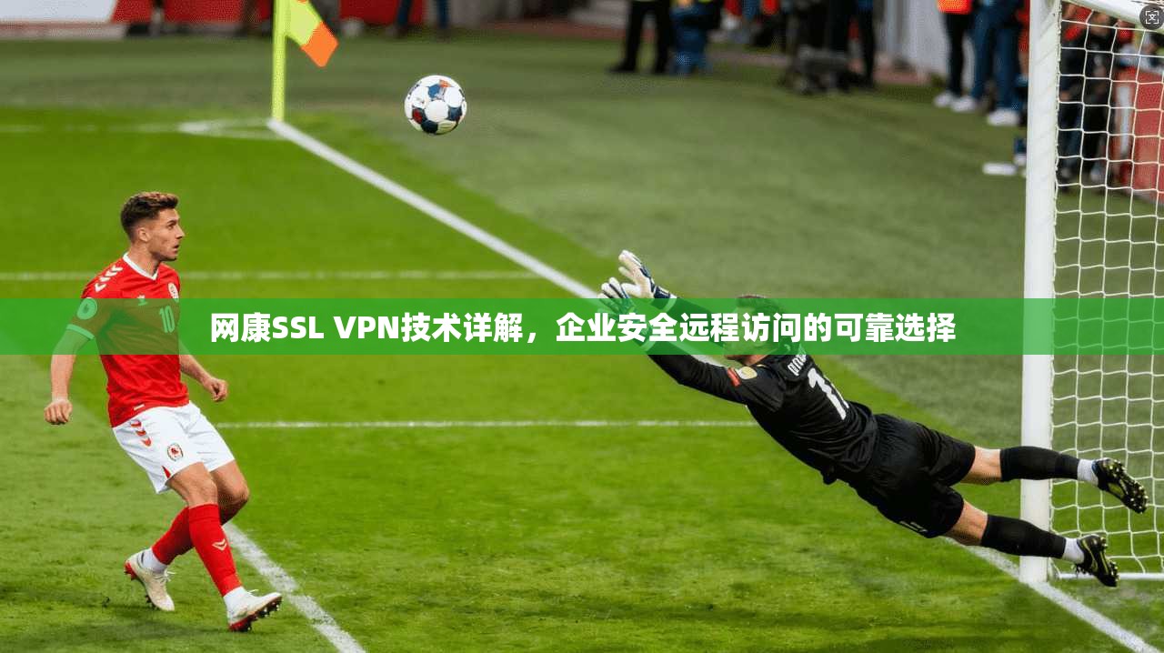 网康SSL VPN技术详解,企业安全远程访问的可靠选择