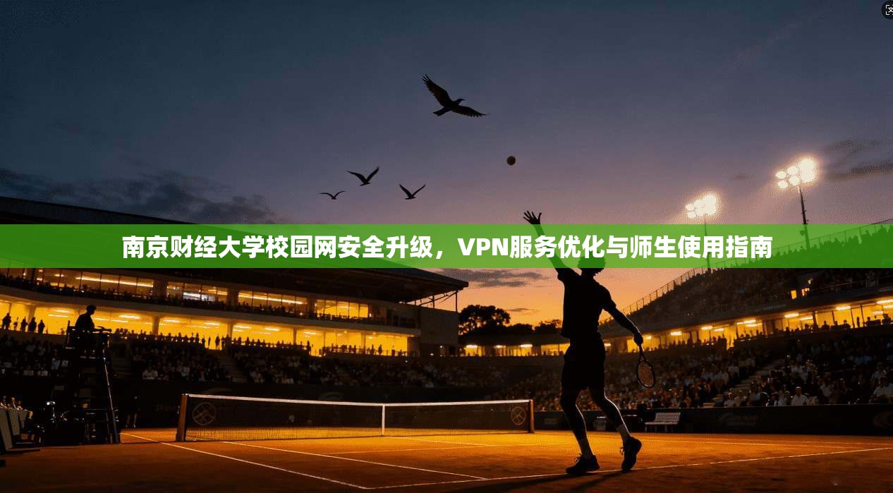 南京财经大学校园网安全升级，VPN服务优化与师生使用指南