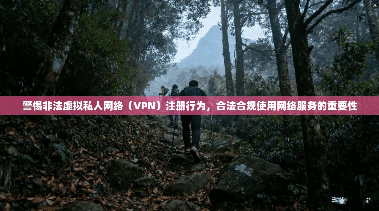 警惕非法虚拟私人网络（VPN）注册行为，合法合规使用网络服务的重要性