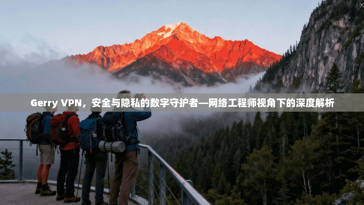 Gerry VPN，安全与隐私的数字守护者—网络工程师视角下的深度解析