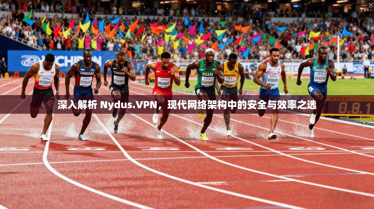 深入解析 Nydus.VPN，现代网络架构中的安全与效率之选