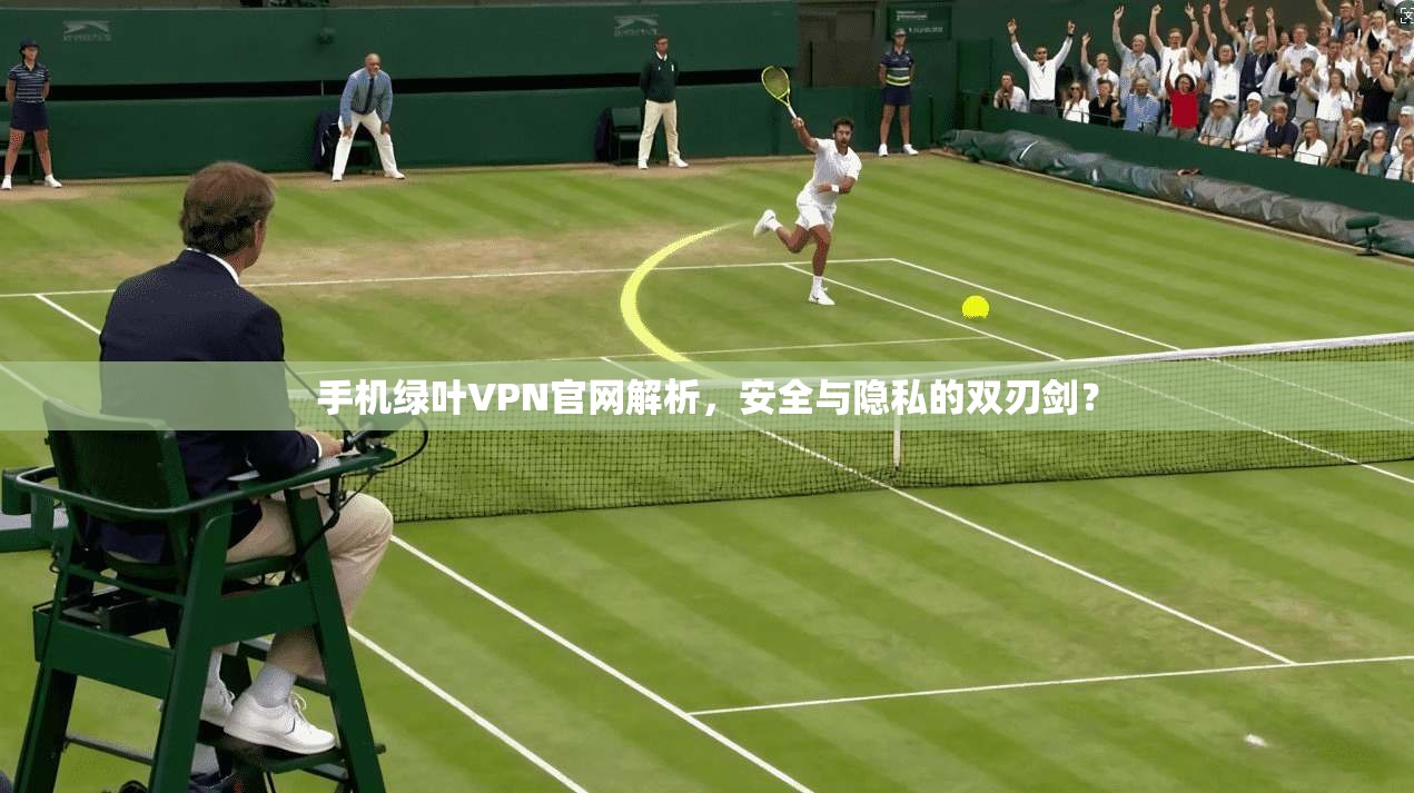 手机绿叶VPN官网解析，安全与隐私的双刃剑？