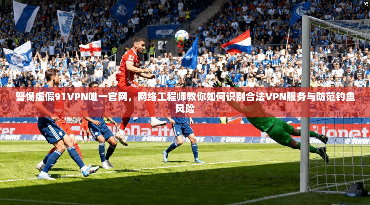 警惕虚假91VPN唯一官网，网络工程师教你如何识别合法VPN服务与防范钓鱼风险