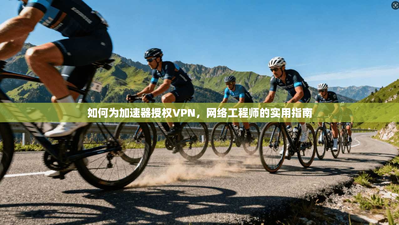 如何为加速器授权VPN，网络工程师的实用指南