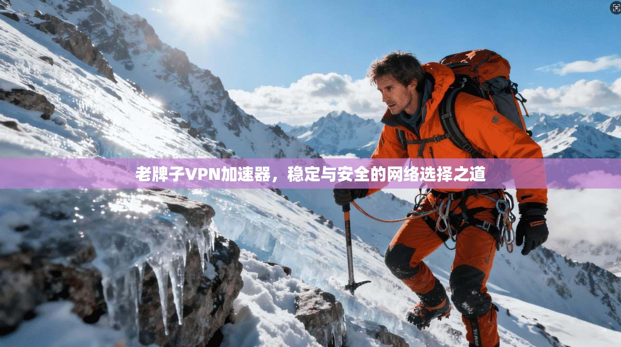老牌子VPN加速器，稳定与安全的网络选择之道