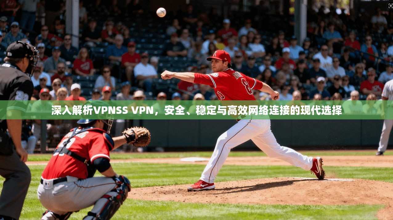 深入解析VPNSS VPN，安全、稳定与高效网络连接的现代选择