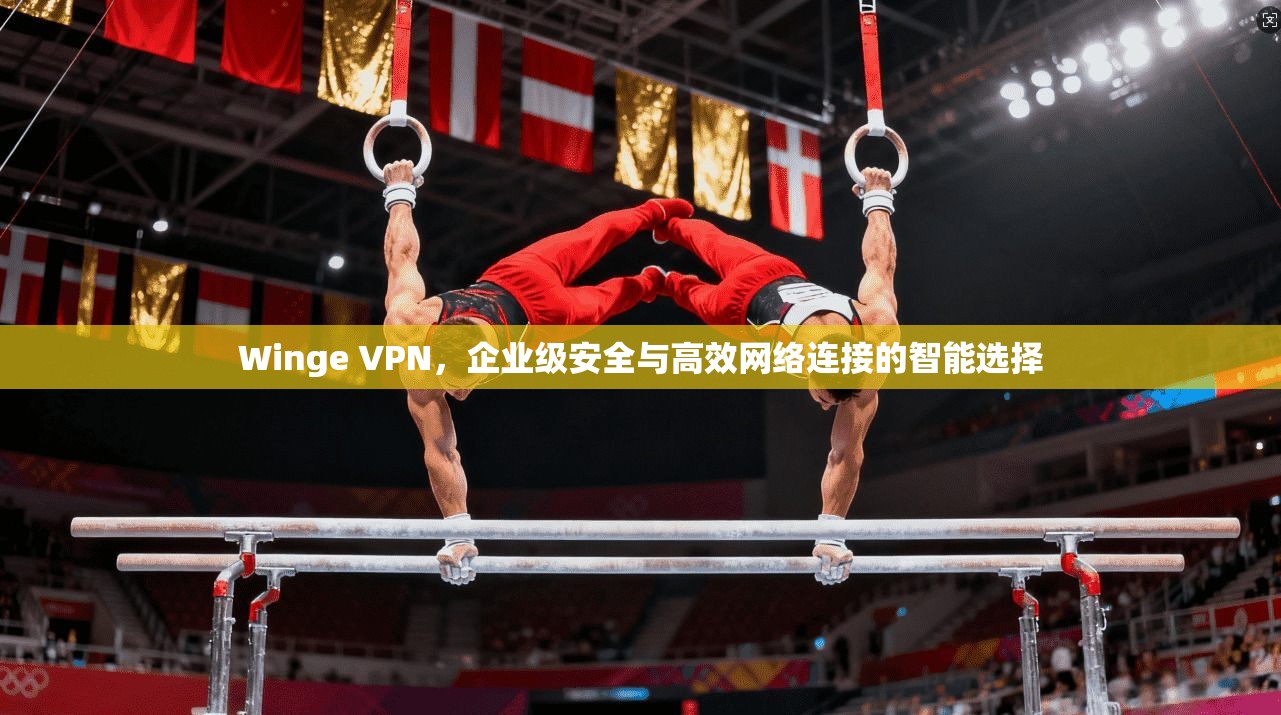 Winge VPN，企业级安全与高效网络连接的智能选择