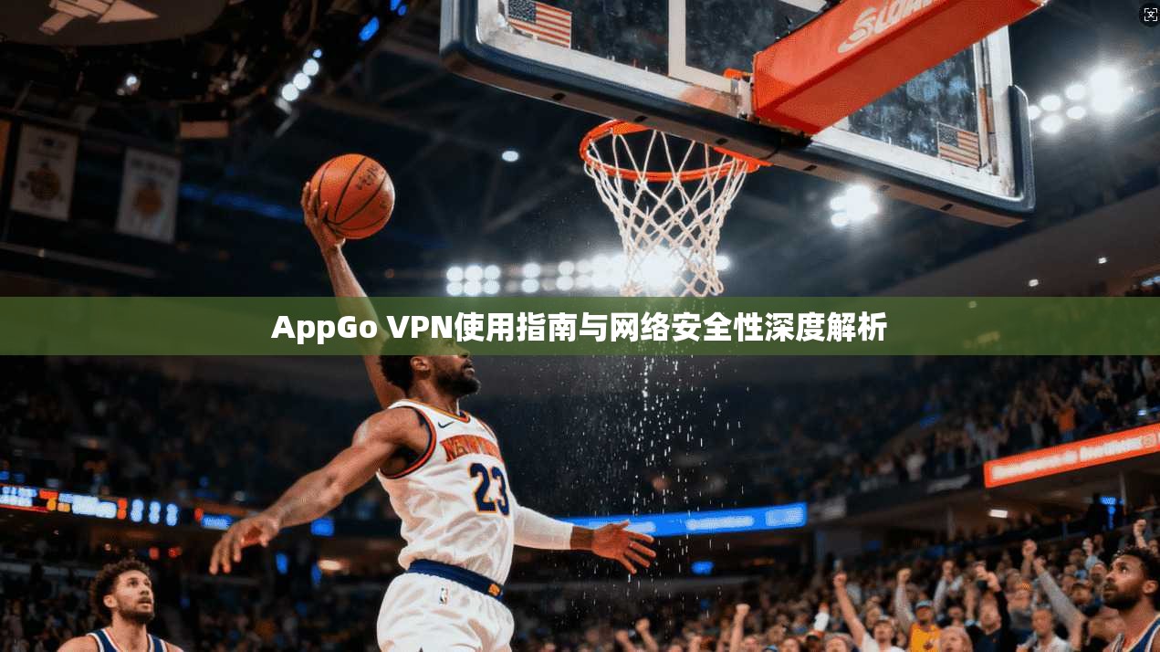 AppGo VPN使用指南与网络安全性深度解析