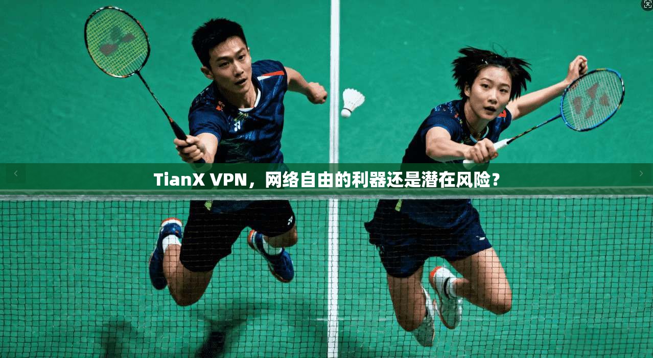 TianX VPN，网络自由的利器还是潜在风险？