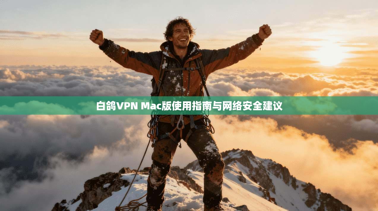 白鸽VPN Mac版使用指南与网络安全建议