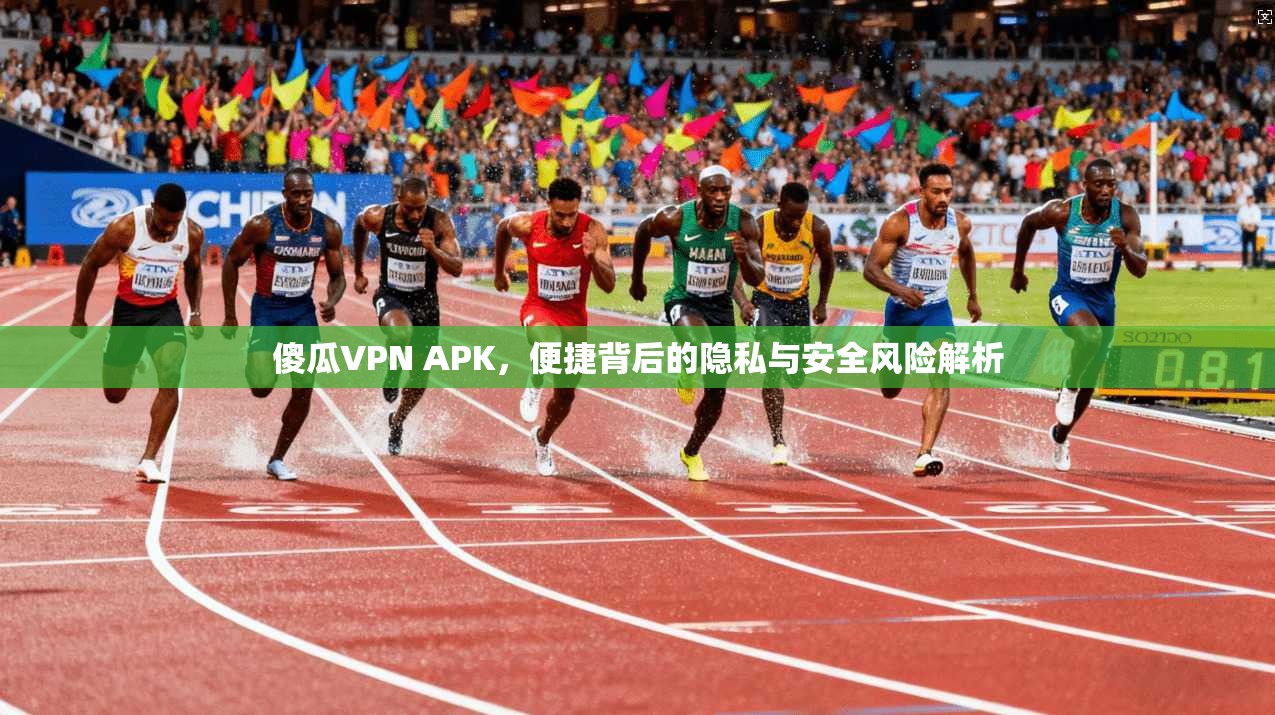 傻瓜VPN APK，便捷背后的隐私与安全风险解析