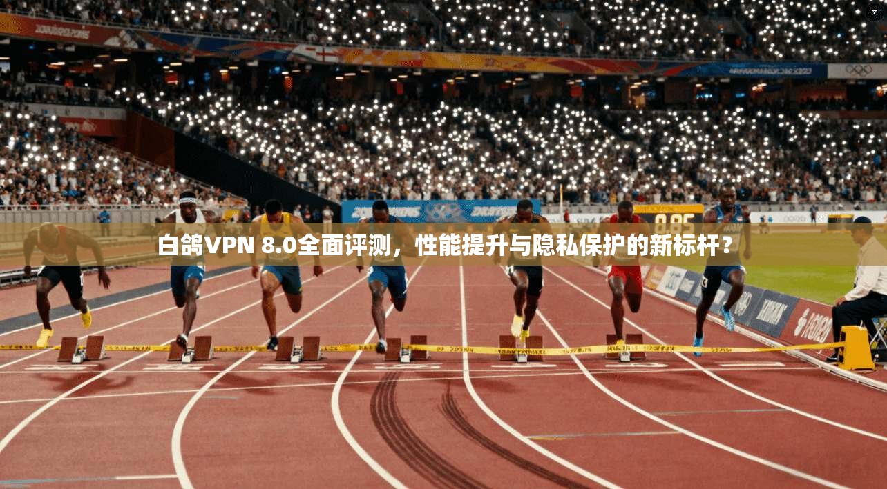 白鸽VPN 8.0全面评测，性能提升与隐私保护的新标杆？