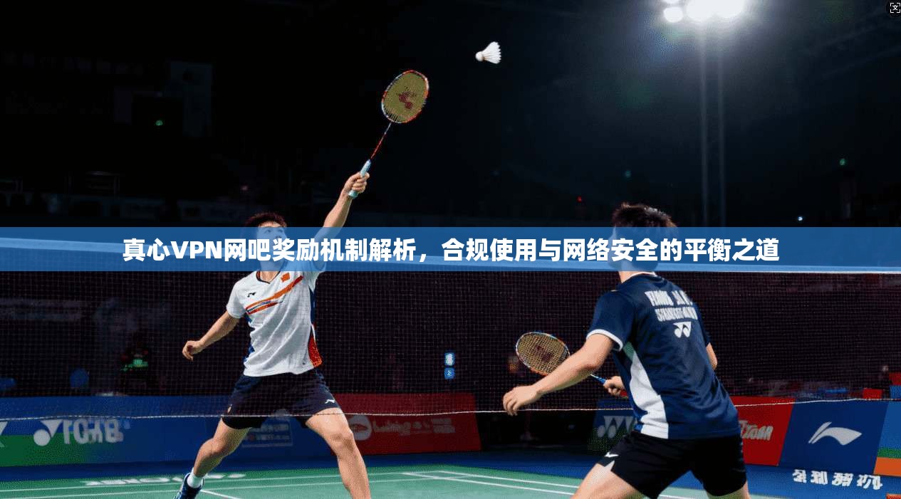 真心VPN网吧奖励机制解析，合规使用与网络安全的平衡之道