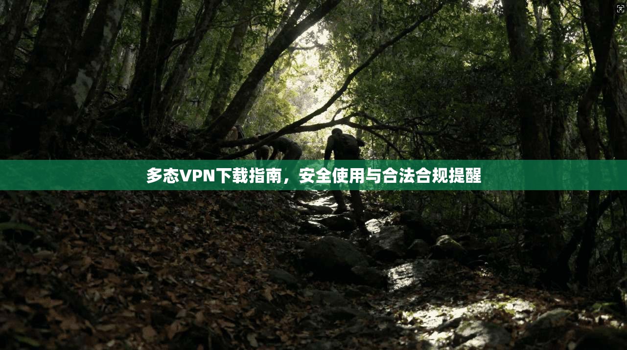 多态VPN下载指南，安全使用与合法合规提醒