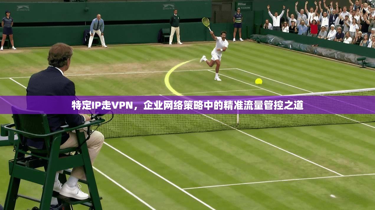 特定IP走VPN，企业网络策略中的精准流量管控之道
