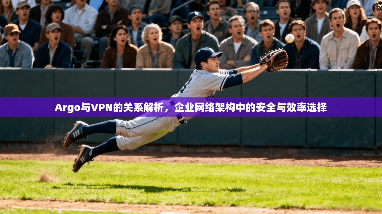 Argo与VPN的关系解析，企业网络架构中的安全与效率选择