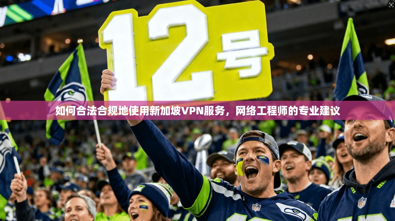 如何合法合规地使用新加坡VPN服务，网络工程师的专业建议