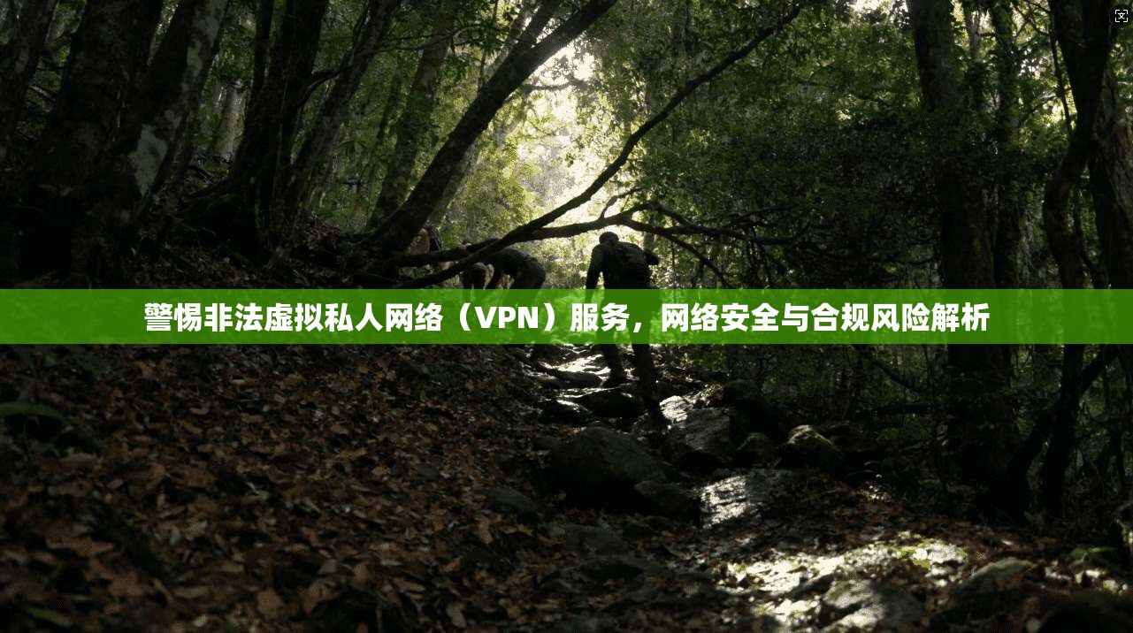 警惕非法虚拟私人网络（VPN）服务，网络安全与合规风险解析
