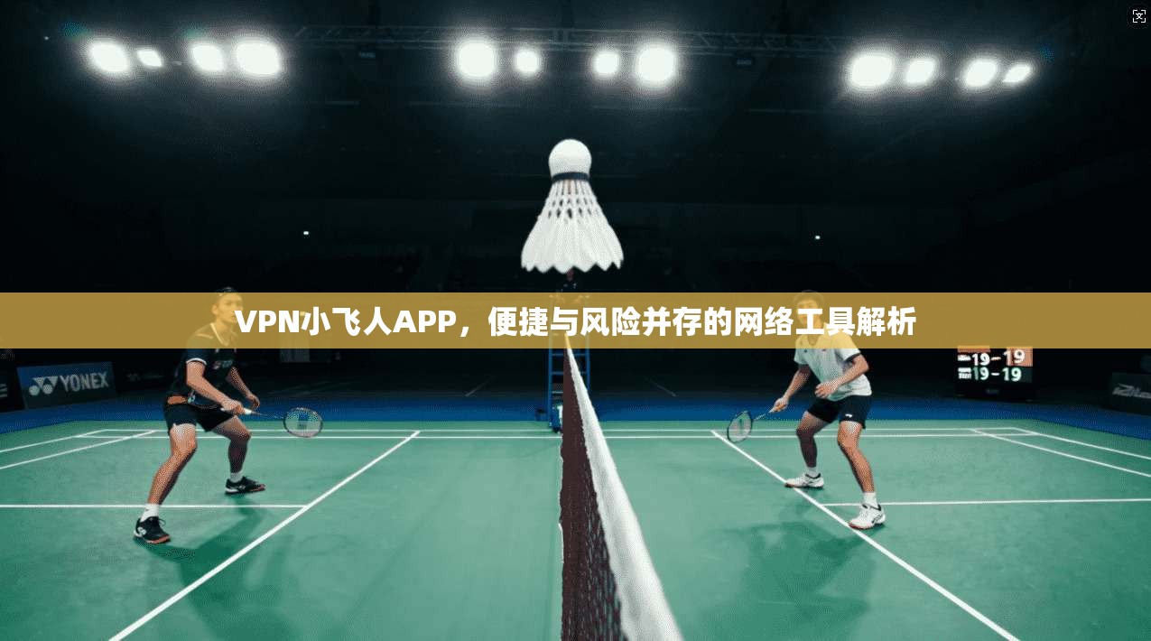 VPN小飞人APP，便捷与风险并存的网络工具解析