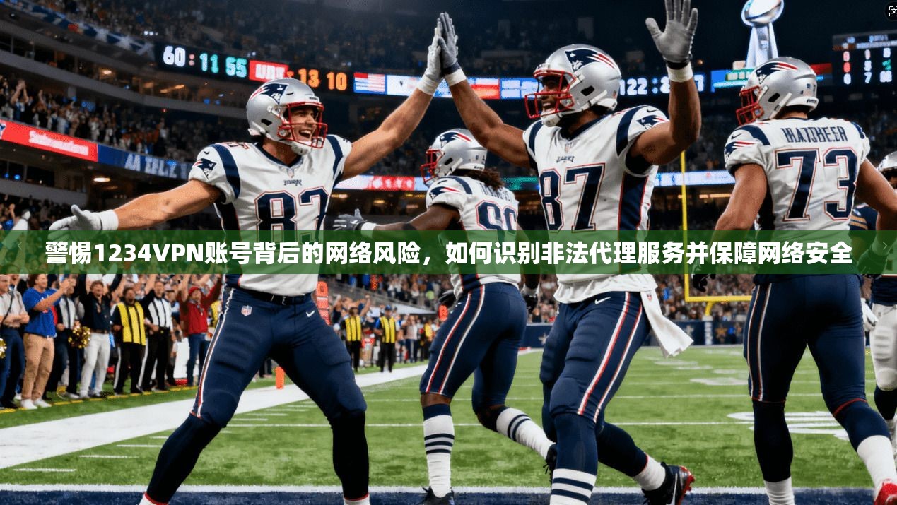 警惕1234VPN账号背后的网络风险，如何识别非法代理服务并保障网络安全