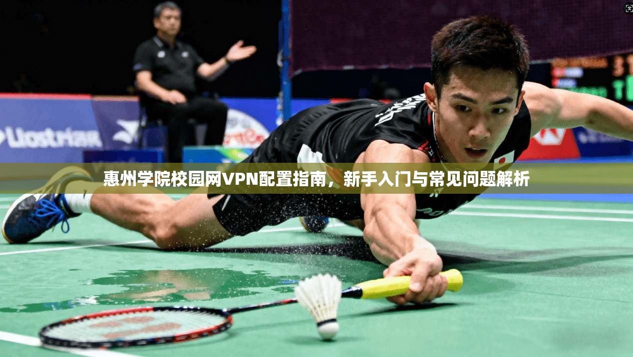 惠州学院校园网VPN配置指南，新手入门与常见问题解析