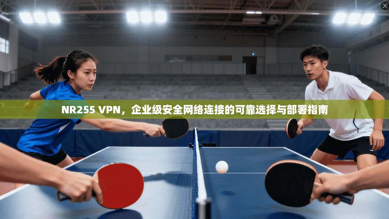 NR255 VPN，企业级安全网络连接的可靠选择与部署指南