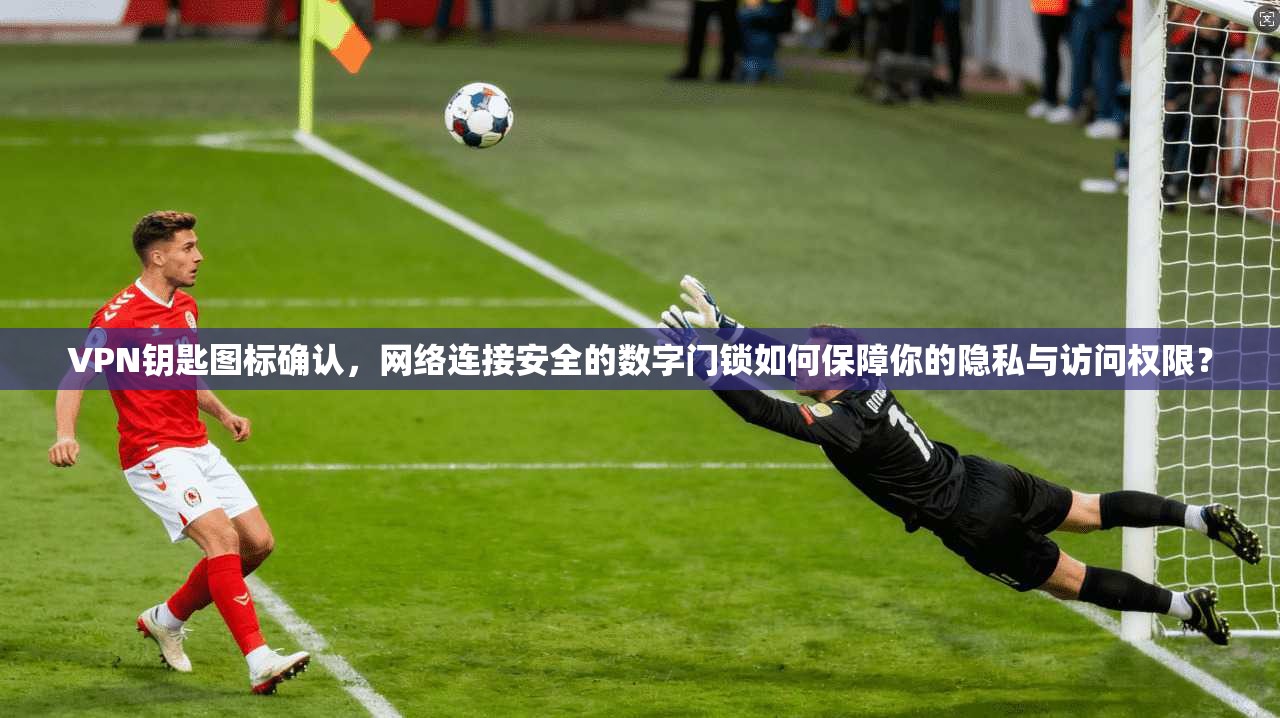 VPN钥匙图标确认，网络连接安全的数字门锁如何保障你的隐私与访问权限？