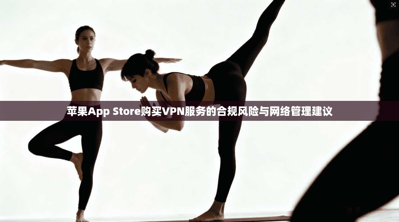 苹果App Store购买VPN服务的合规风险与网络管理建议