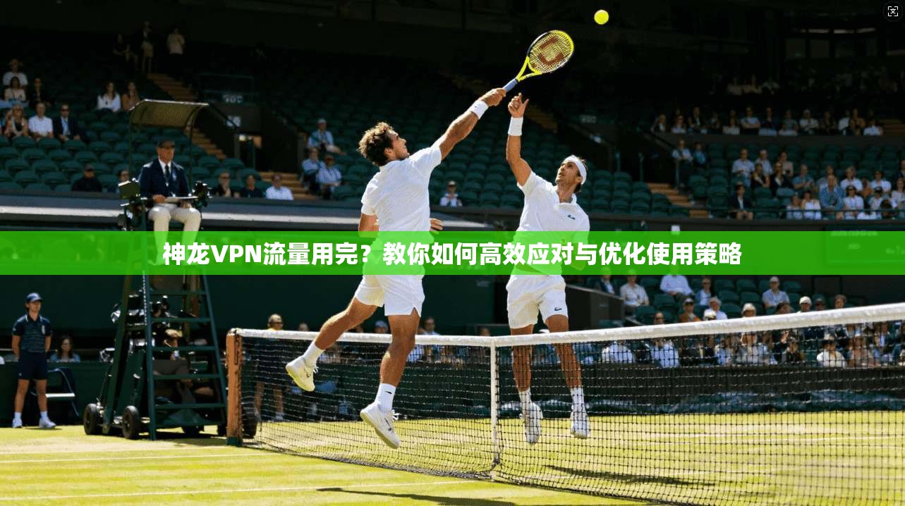 神龙VPN流量用完？教你如何高效应对与优化使用策略