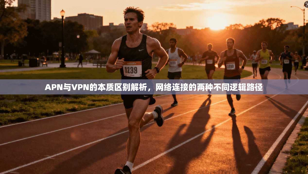 APN与VPN的本质区别解析，网络连接的两种不同逻辑路径