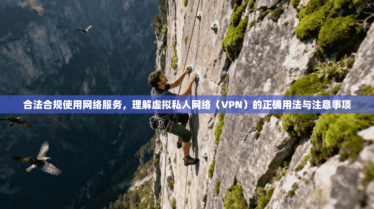 合法合规使用网络服务，理解虚拟私人网络（VPN）的正确用法与注意事项